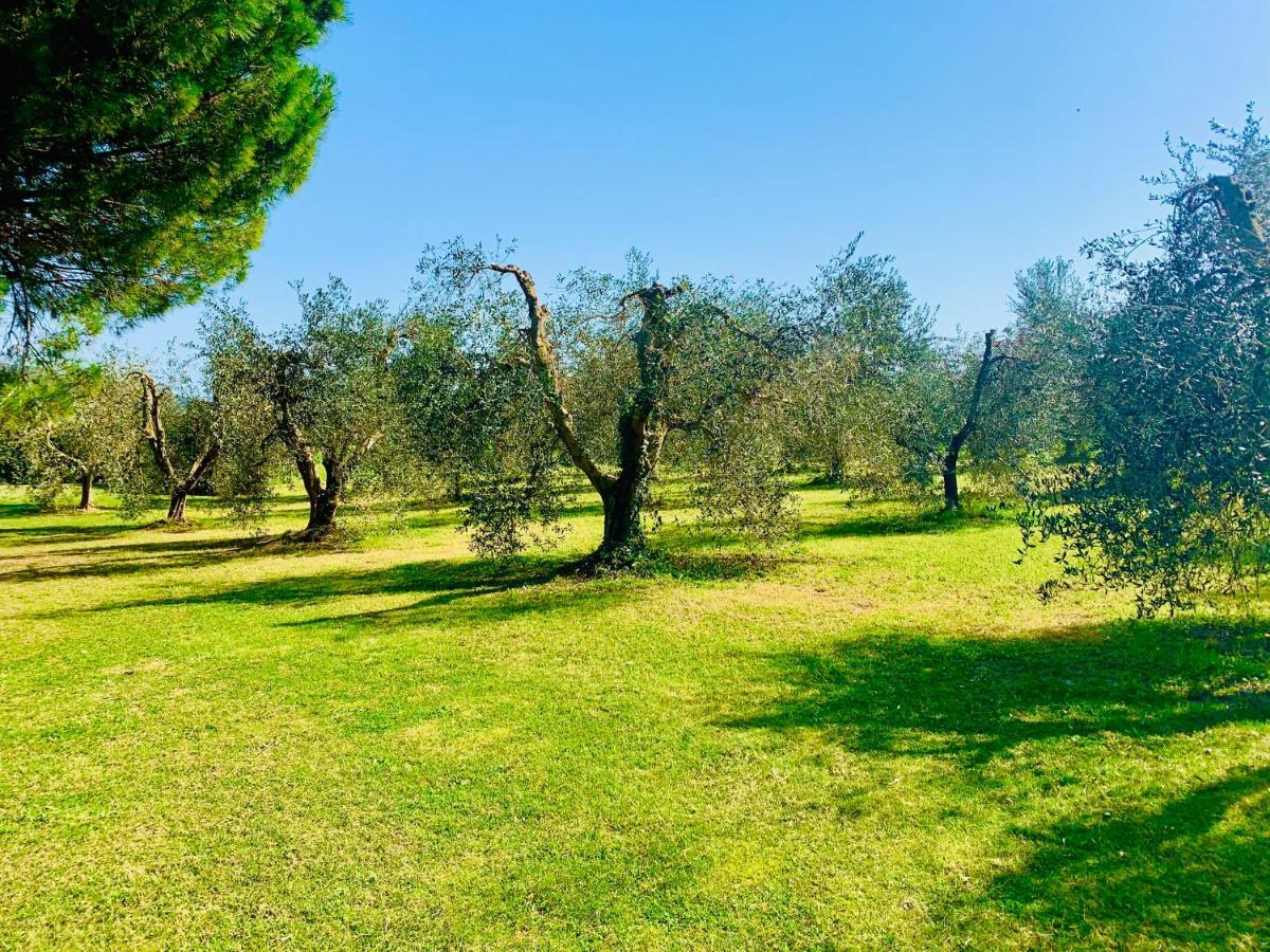 شقة Il Borghetto Di Ansedónia المظهر الخارجي الصورة
