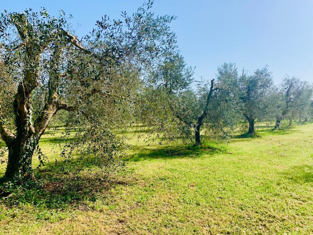 شقة Il Borghetto Di Ansedónia المظهر الخارجي الصورة