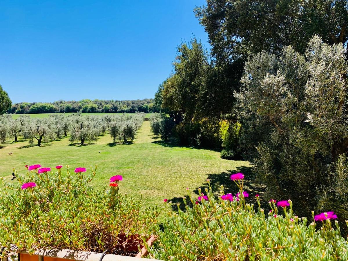 شقة Il Borghetto Di Ansedónia المظهر الخارجي الصورة