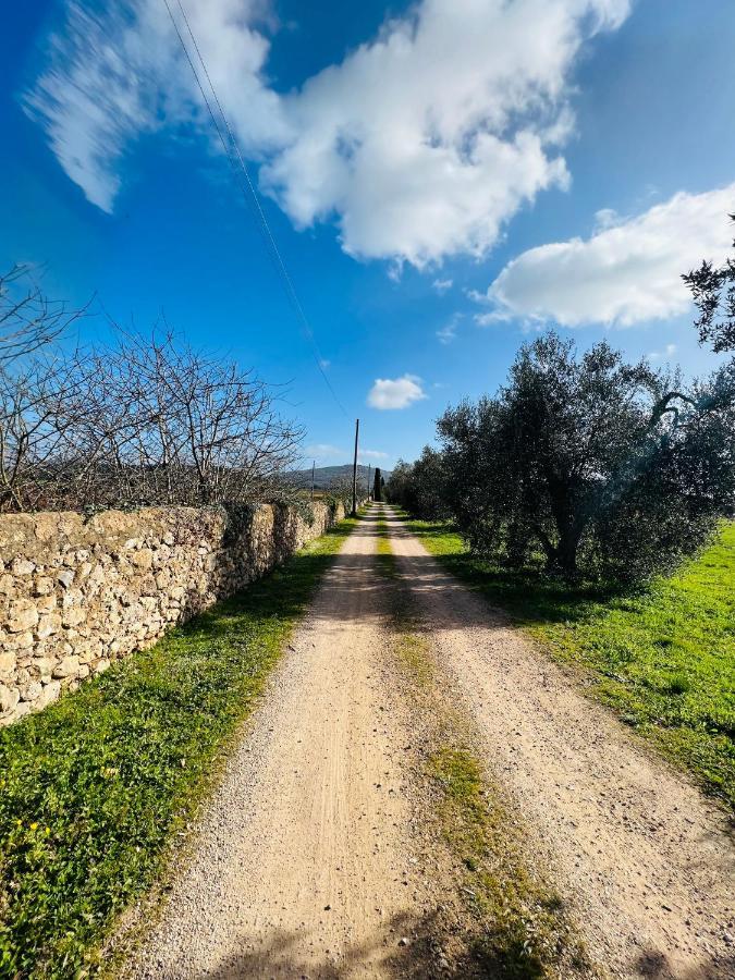 شقة Il Borghetto Di Ansedónia المظهر الخارجي الصورة