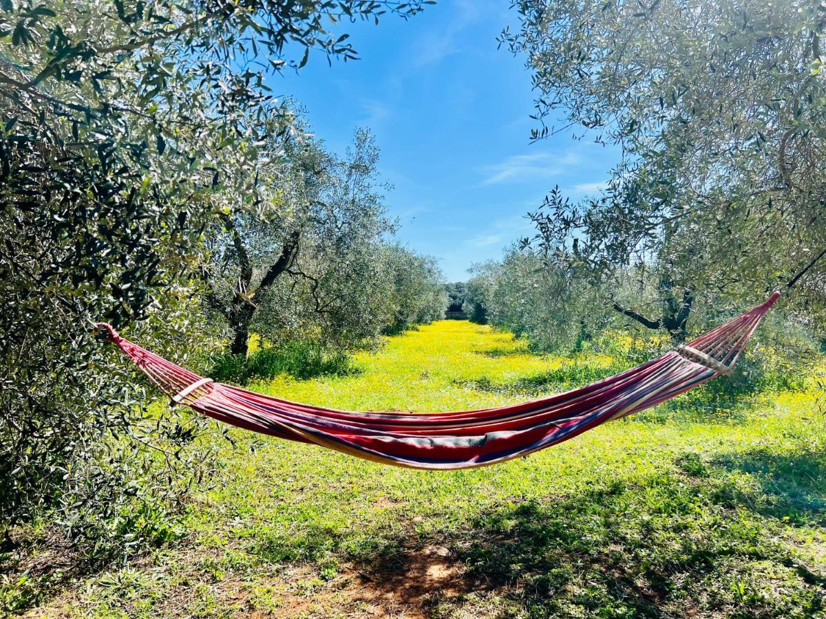 شقة Il Borghetto Di Ansedónia المظهر الخارجي الصورة